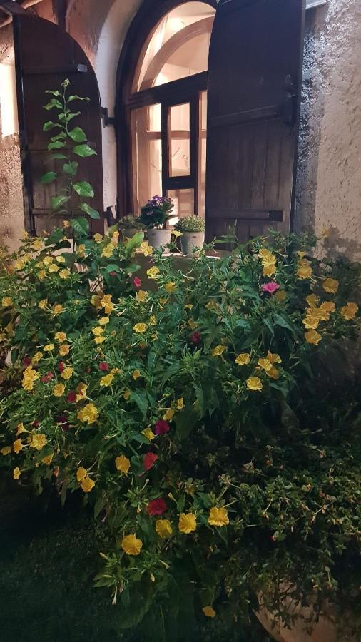 Casa Del Mare Villa ปาราเลียกาเตอรีนิส ภายนอก รูปภาพ